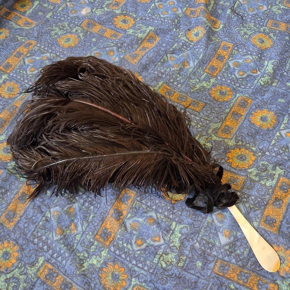 1920s Antique Ostrich Feather Fan Mother of Pearl